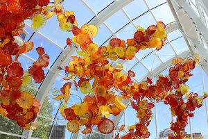 Sunlight at Chihuly Garden and Glass